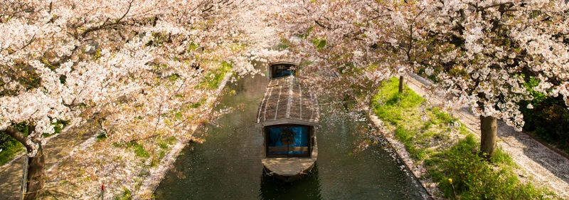 Access to financial markets