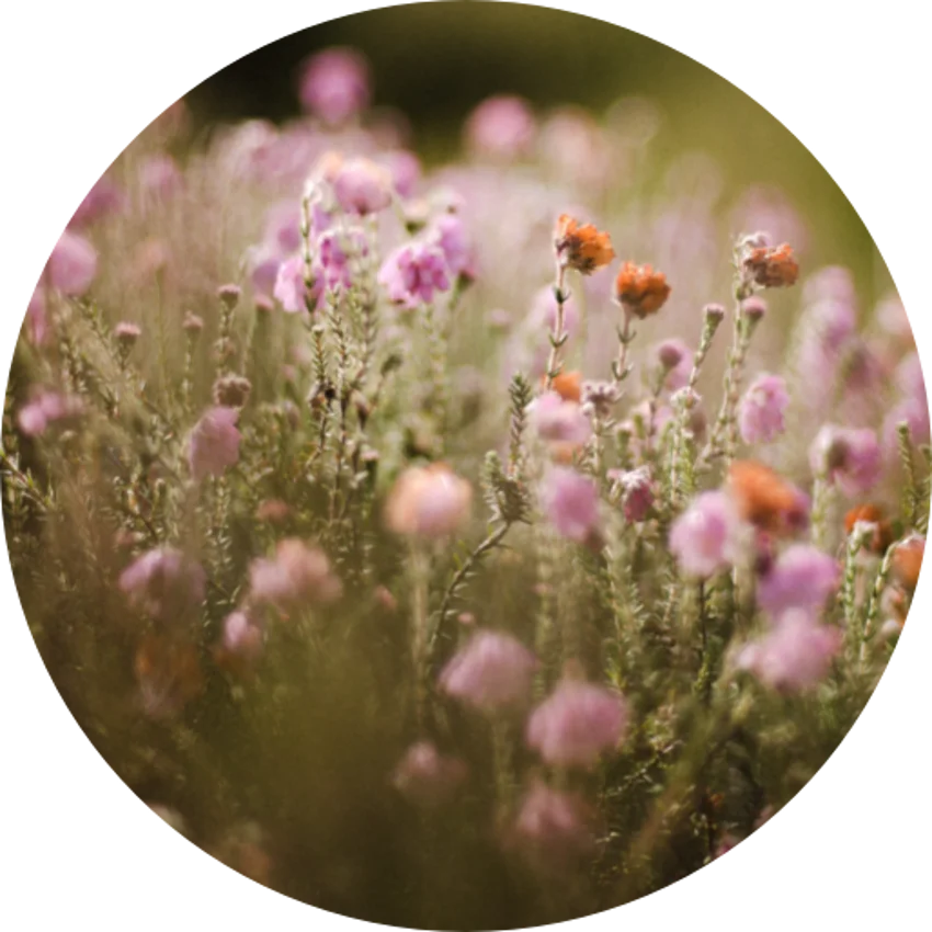 Offre sur mesure Quintet banque privée