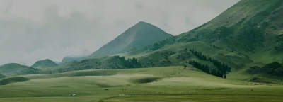 Banques et compagnies d'assurance