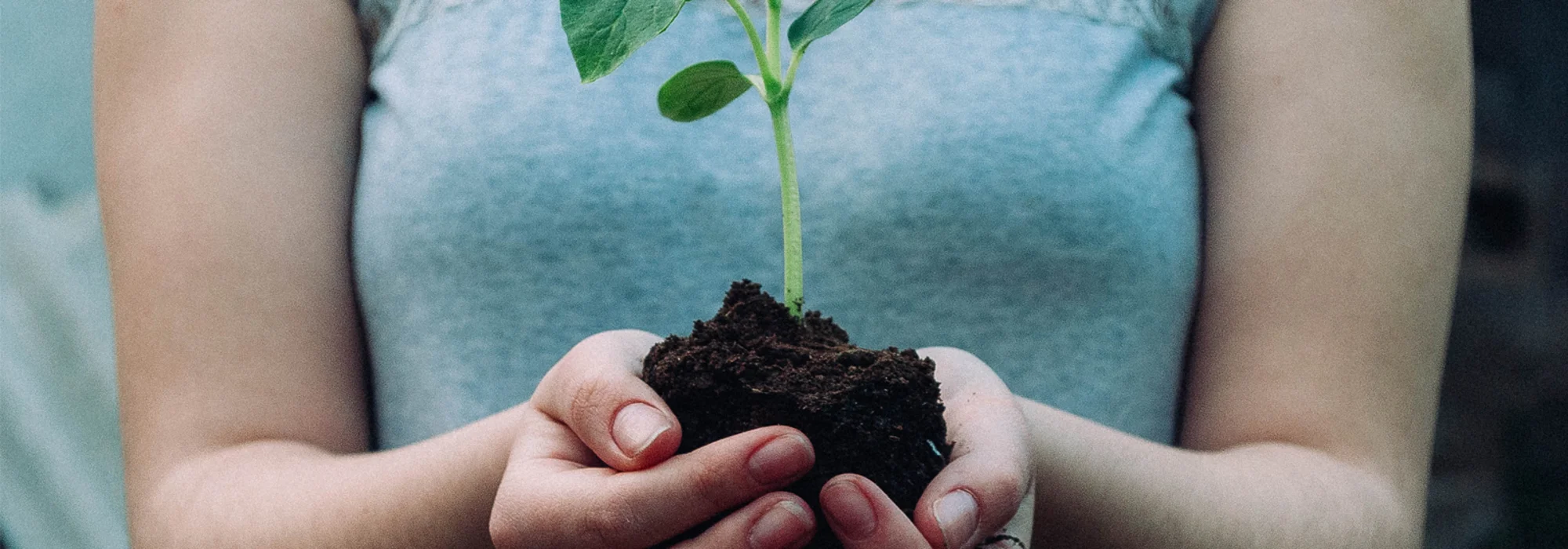 Une expertise sectorielle renforcée
