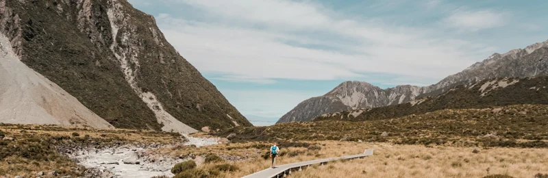 Chief Investment Office